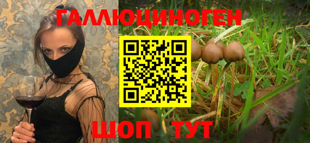 Кстово  Галлюциногенные грибы ЛСД  Псилоцибиновые грибы прущие грибы  Вход с VPN 