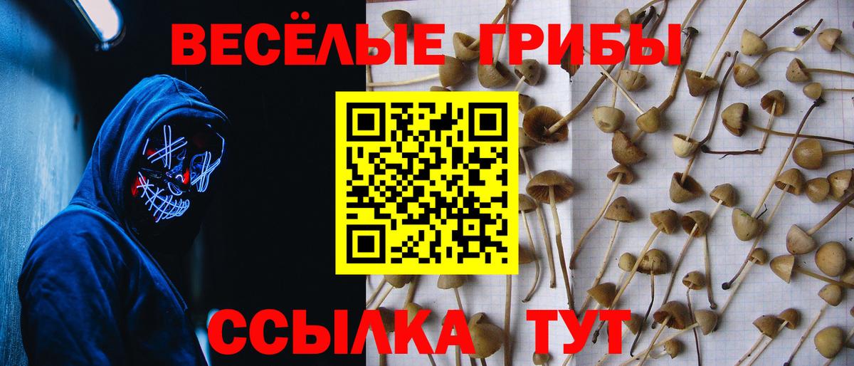 Галлюциногенные грибы ЛСД Кстово